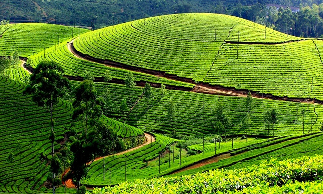 Best of Kerala Tour Package 6N/7D | SVR Tours